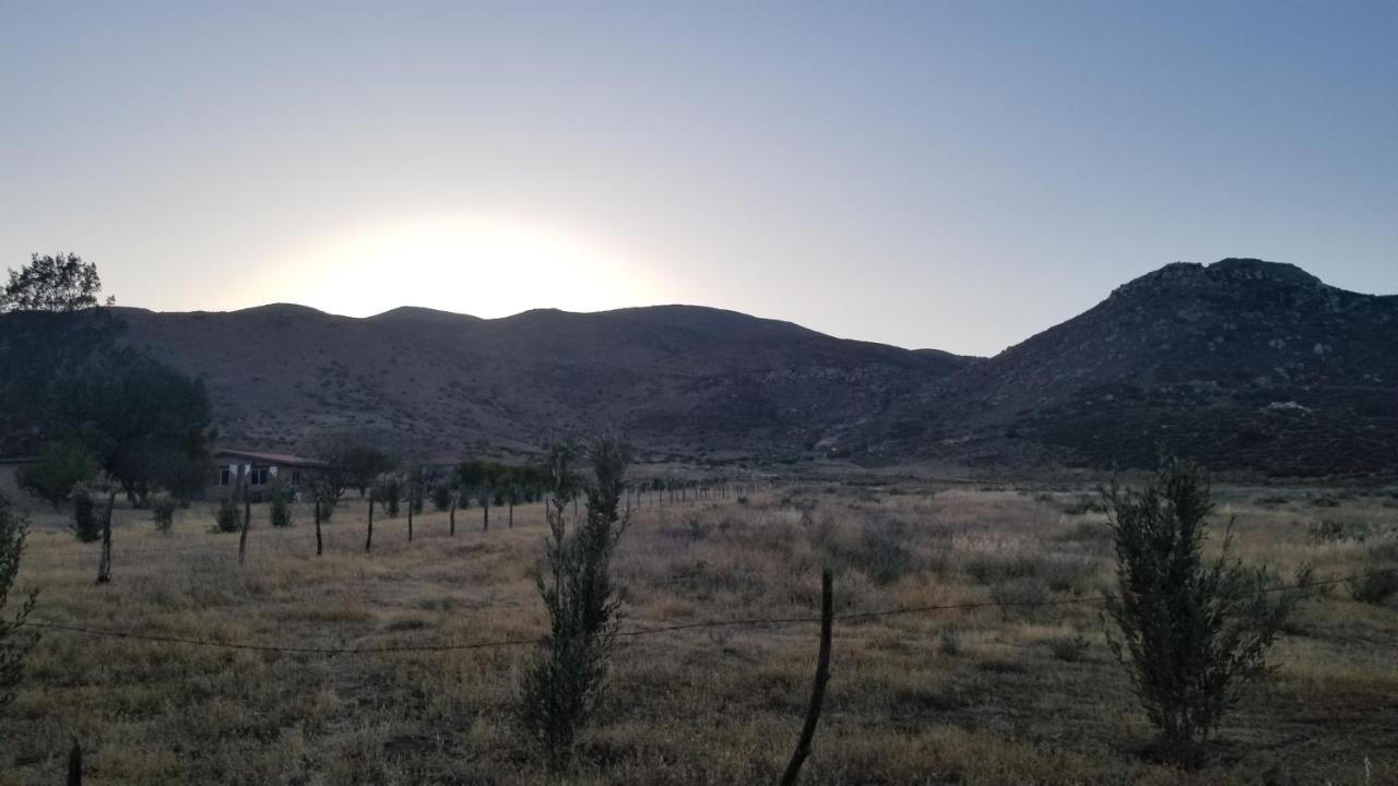 Laureles Ruta Del Vino *