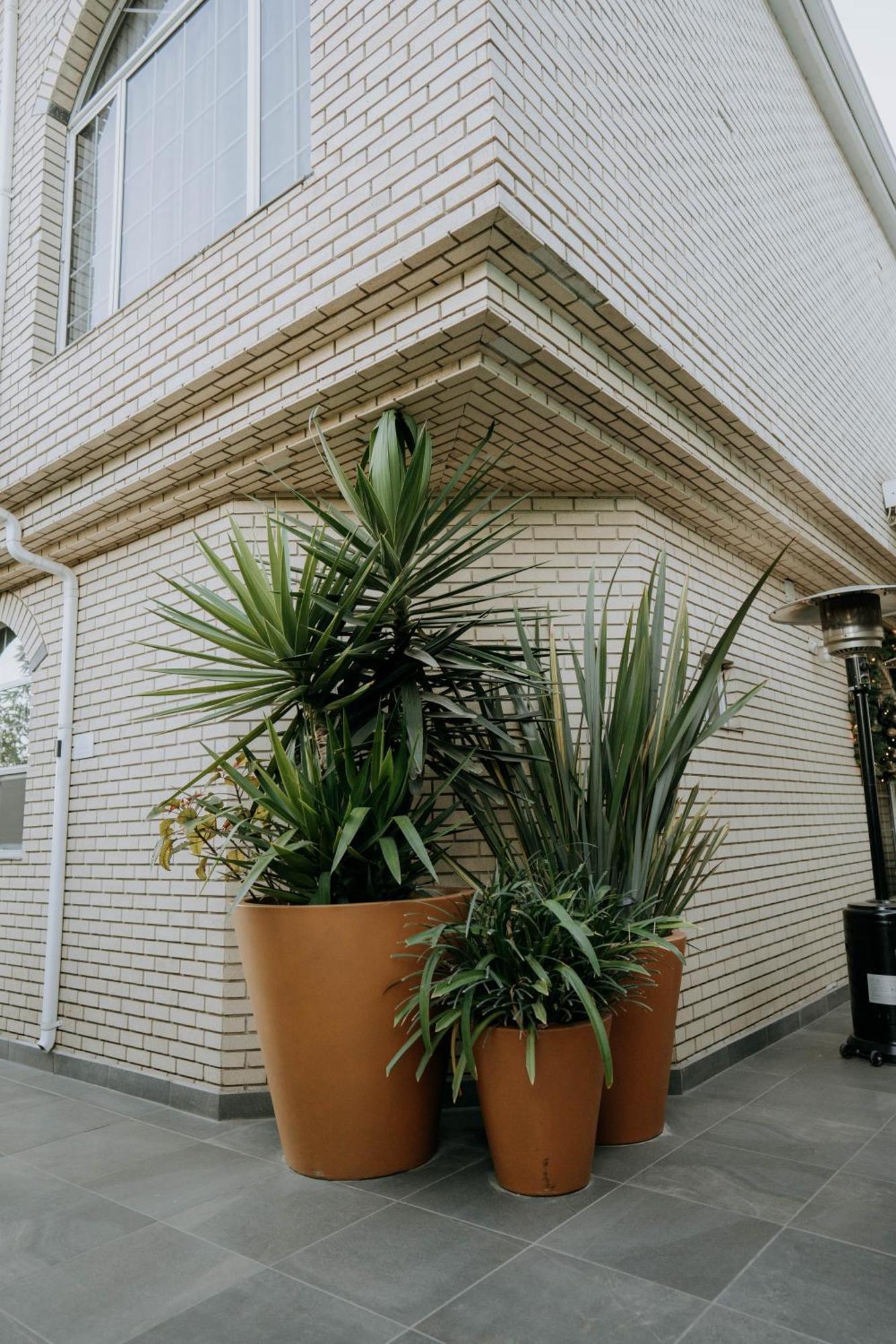 Casa Asturias 3*