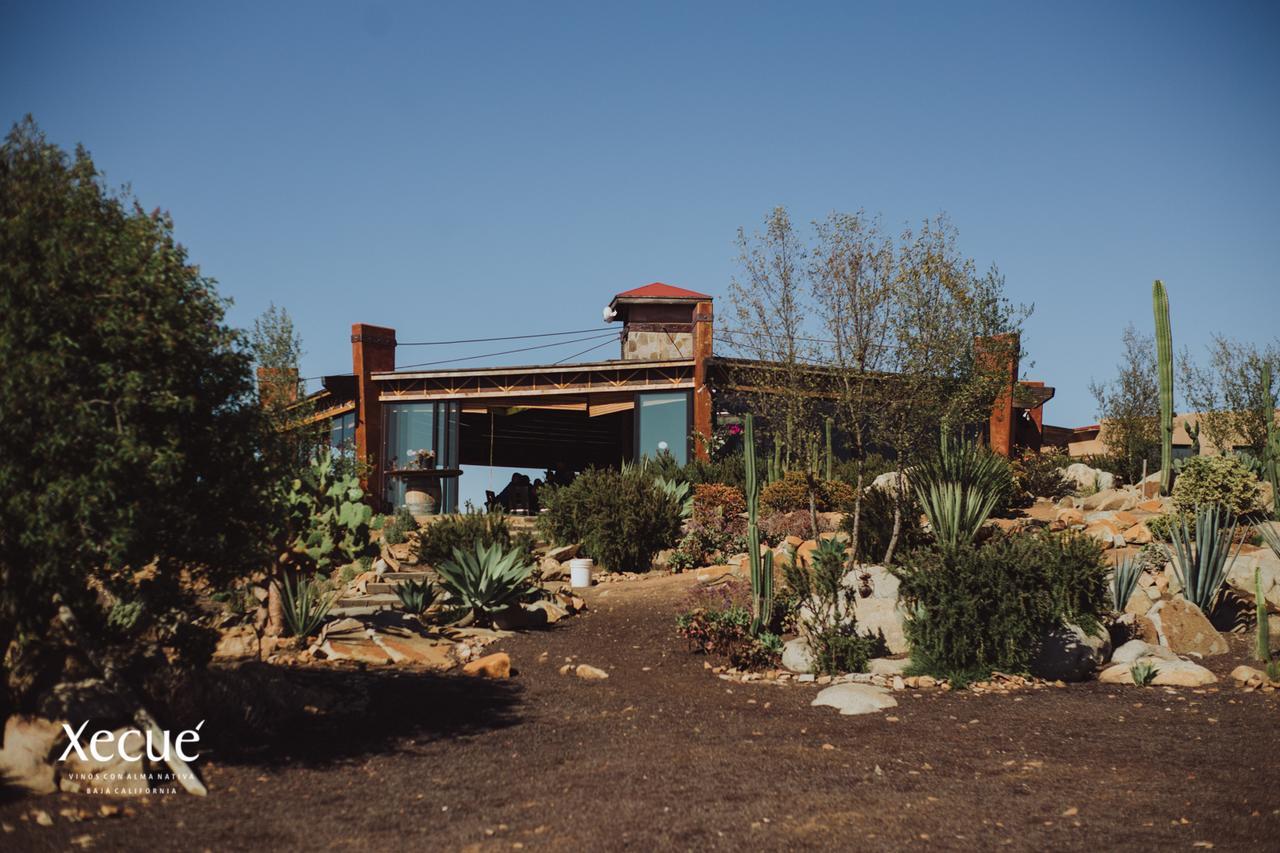Vinos Xecue Inn Ensenada